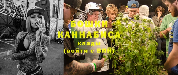 индика Елизово