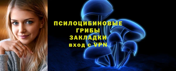 СК Абинск