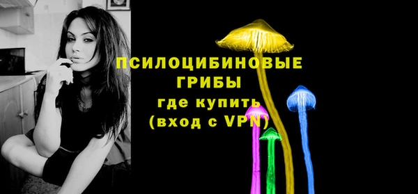 СК Абинск