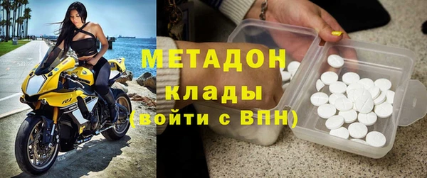 индика Елизово